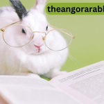 Angora Rabbit Grooming 101: Tips and Tricks